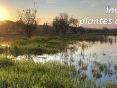 #asso-block-5-title-1