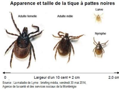 #asso-block-5-title-3